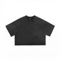 Y2K ウォッシュ加工 クロップドTシャツ 半袖